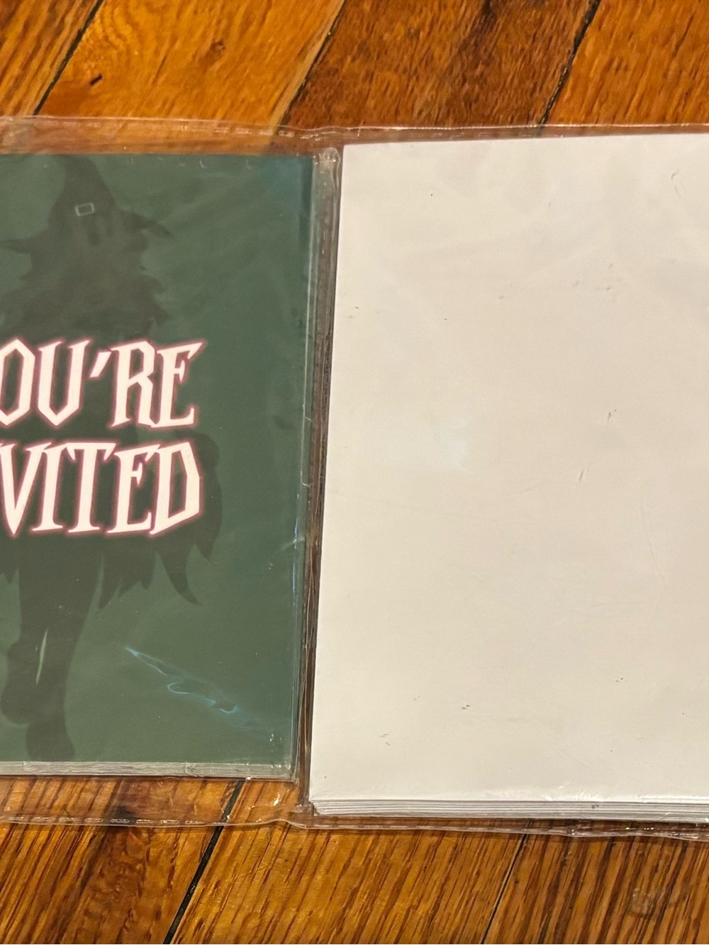 NWOT “Wicked” fill in the blank Birthday Invitations